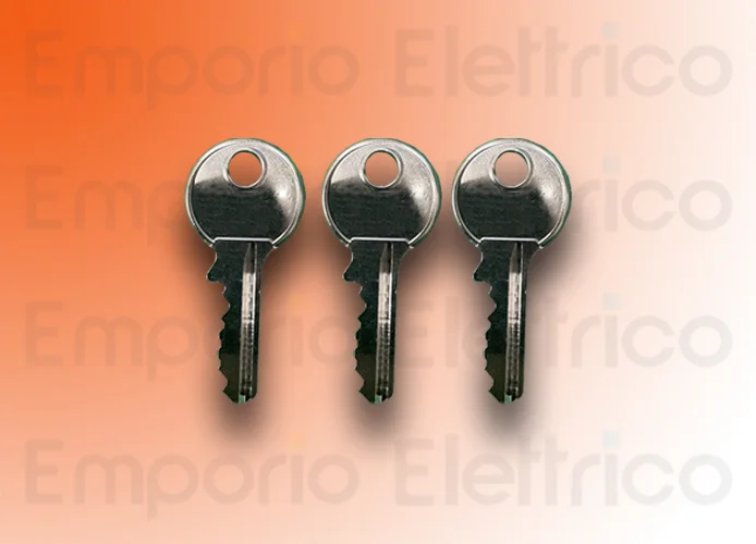 faac Ersatzteil des Schlossschlüssels für Tür b614 (3pz) 63003421