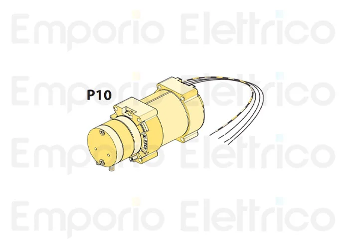 fadini Ersatzteil des kompletten elektrischen Motors 230 v - 0,25 cv - p10 für hindi 880 evo 87123
