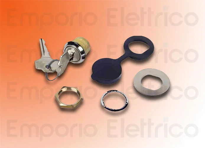 faac Aussenentriegelung mit persönlichem Schlüssel 424550001/50