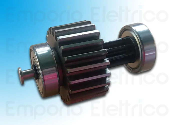 came Ersatzteil der Welle erste Reduktion ferni 119rid384