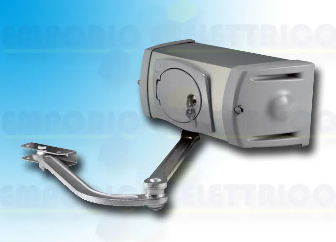 came Seite Ersatzteile des Motors 001fe4024v fe4024v