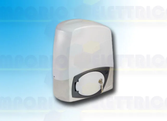 came Seite Ersatzteile der Motoren bx-243