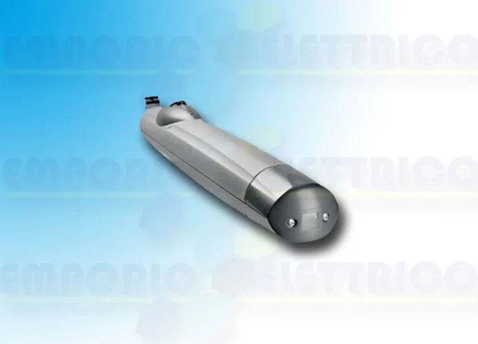 came Seite Ersatzteile der Motoren amico