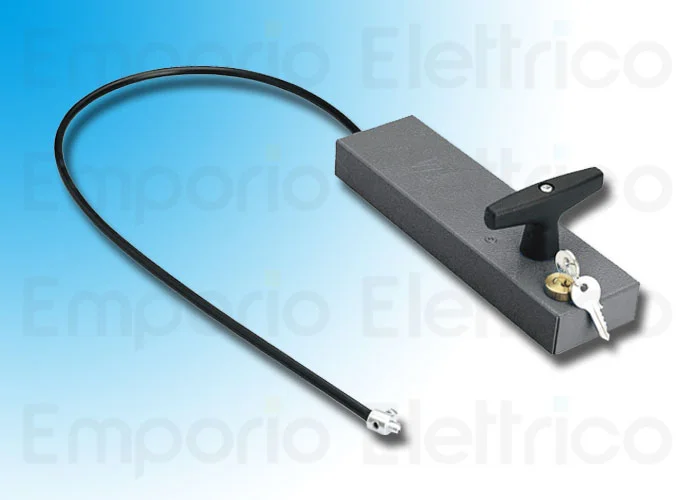 came Entriegelungsgriff mit individuellem Schlüssel 001cms cms