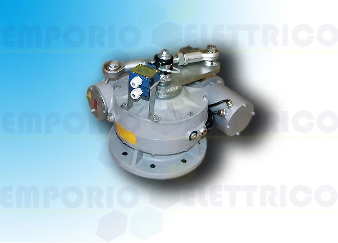 came Seite Ersatzteile des Motors frog-md