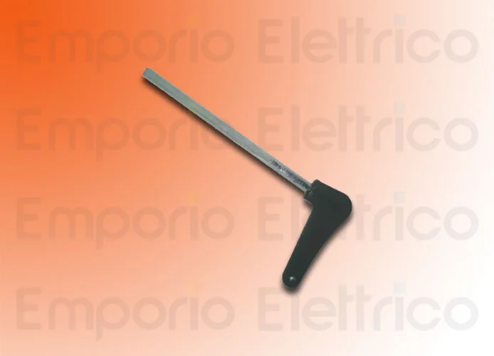 faac Ersatzteil des Entriegelungsschlüssels 390-550-trigon-breeze 713001