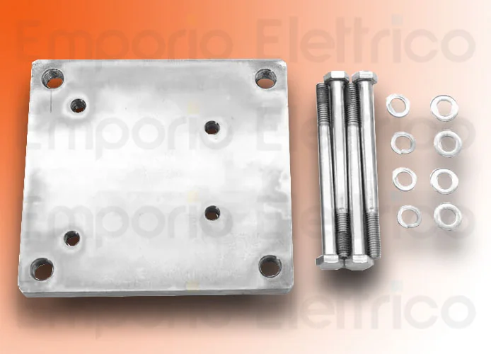faac Ersatzteil der Montageplatte und Bolzen 750 63003324