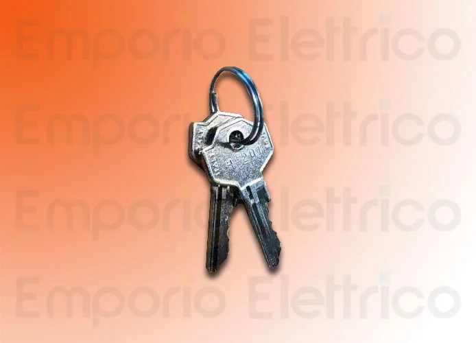 faac Ersatzteil des verschlüsselten Schlüsselpaares 770 n°201 713021