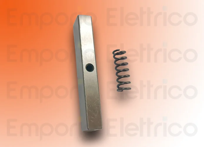 faac Ersatzteil keyway key and spring group 746/8 63003337