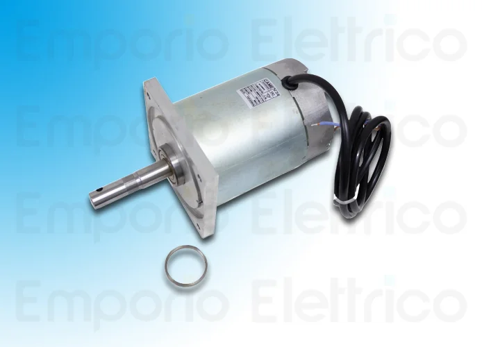 came Ersatzteil der Motorgruppe cat-x24 119rix011