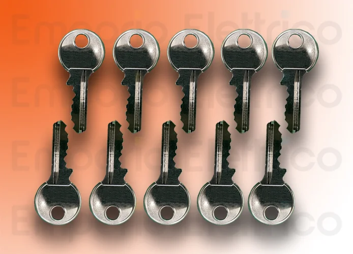 faac Ersatzteil des Schlossschlüssels für Tür b614 (10 Stücke) 63003421