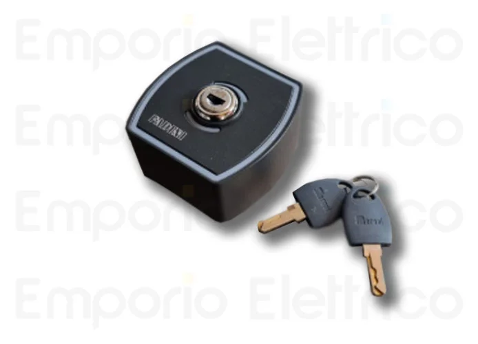 fadini selettore a chiave da parete cilindro standard zero.k 142l